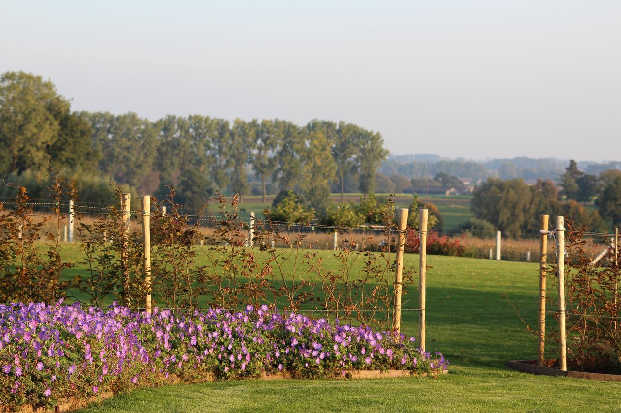 Bed and Breakfast Cafcauter à Sint-Pieters-Kapelle  Extérieur photo